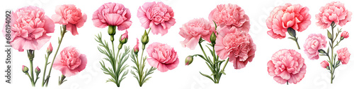 Pink carnation watercolor illustration clipart. Generative AI photo