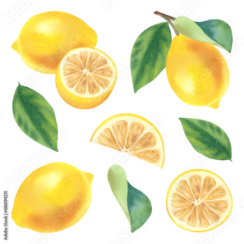 A set of lemons. Watercolor illustration. Citrus is a juicy and healthy fruit. For designers, sticker and postcard printing. Clipart.