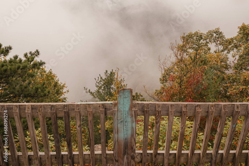 fence in the fog