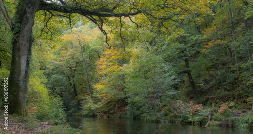 Autumn Tranquility