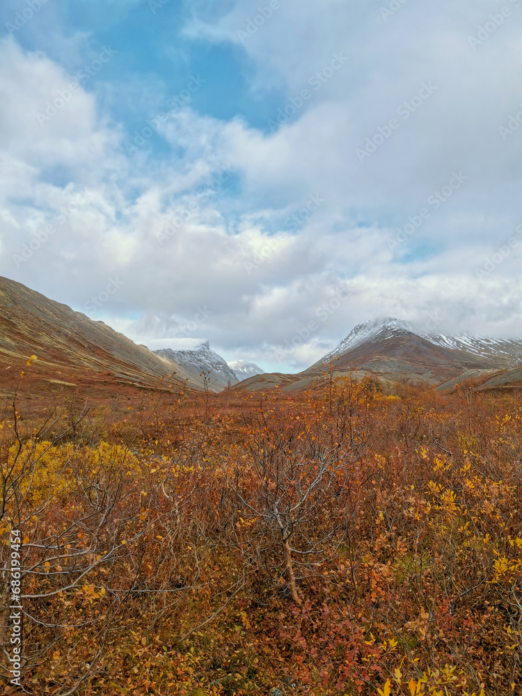 Autumn Arctic landscape in the Khibiny mountains. Kirovsk, Kola Peninsula, Polar Russia. Autumn colorful forest in the Arctic, Mountain hikes and adventures.
