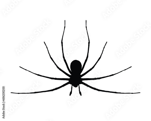 Spider silhouette. Spider vector illustration.