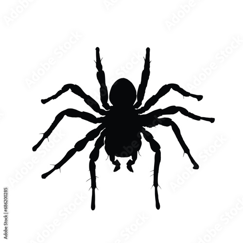 Spider silhouette. Spider vector illustration.