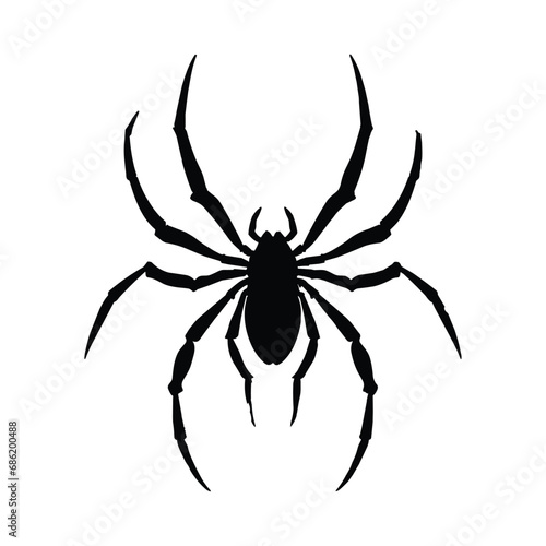 Spider silhouette. Spider vector illustration.