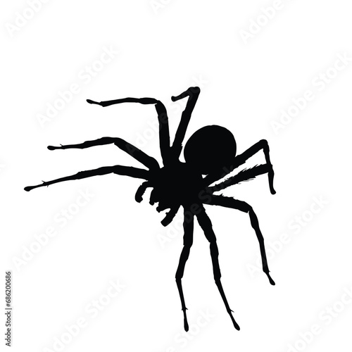 Spider silhouette. Spider vector illustration. © Creative Designer