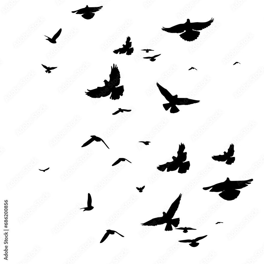 Flying birds silhouette flock. hand drawing. Not AI, Vector illustration Flying birds silhouette flock. hand drawing. Not AI, Vector illustration