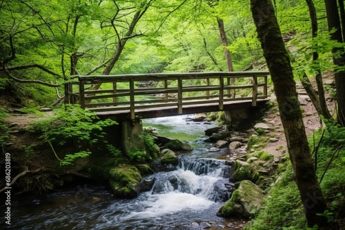 wooden bridge over the fo9rest river  waterfall background