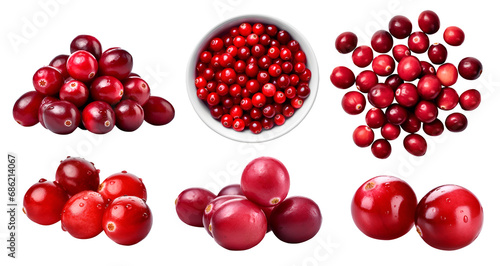 Red cranberry cranberries, many angles and view side top front heap pile bunch isolated on transparent background cutout, PNG file. Mockup template for artwork graphic design photo