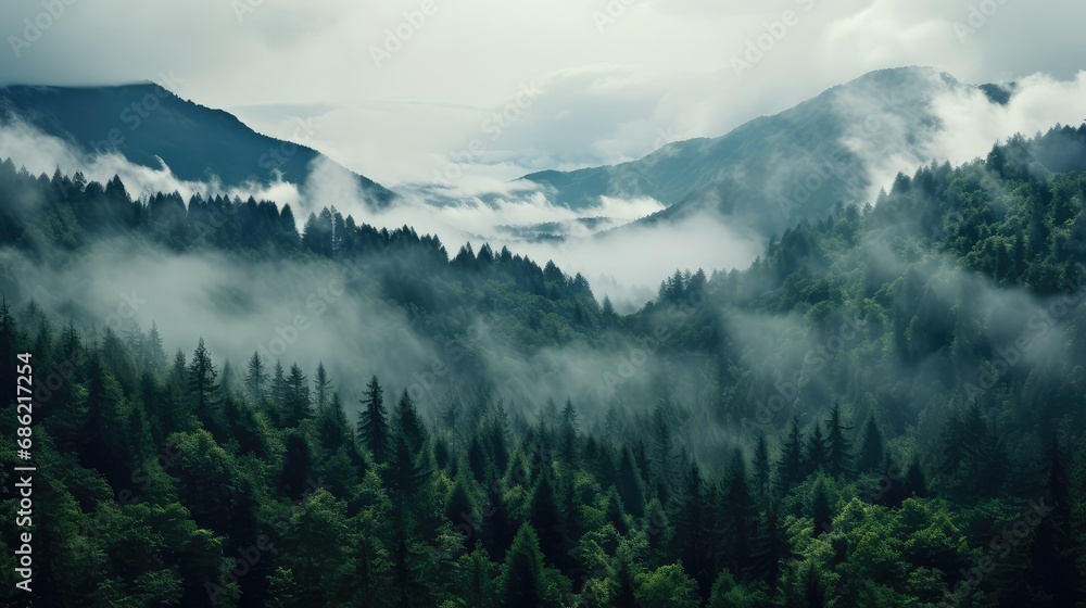 Foggy morning in the mountains. Mountain landscape with coniferous forest.