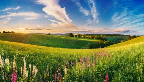 beautiful summer colorful rustic pastoral landscape panorama tall flowering grass on green meadow at sunrise or sunset with beautiful announcement against blue sky