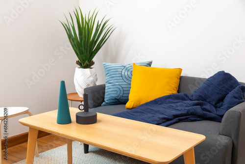 Modern interior of living room with blue and yellow pillows on grey sofa. blue blanket and green plant.