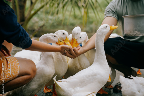duck stop in phong nha, vietnam