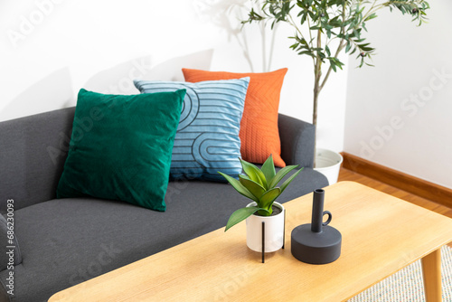 Modern Blue, green, and orange pillow on sofa in living room with olive tree in plant pot. Modern vase on wood table.