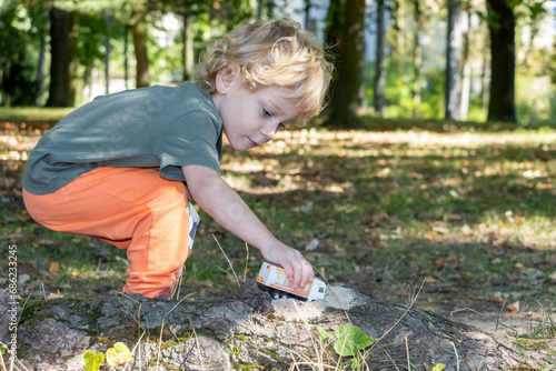 A little boy plays with a model truck on the edge of the forest