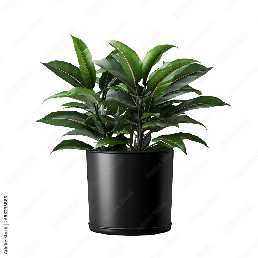 Balsam in black container isolated on transparent background Balsam in black container isolated on transparent background