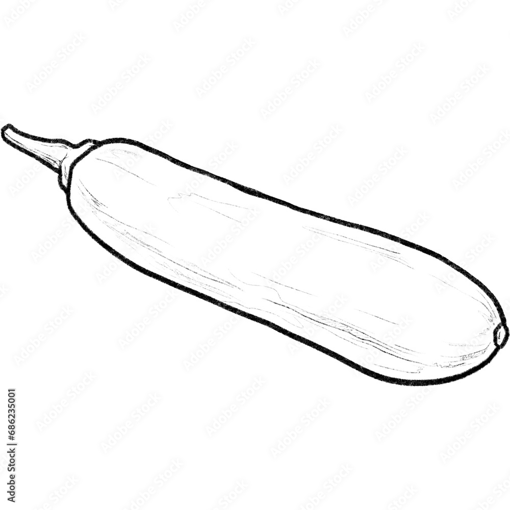zucchini isolated on white background zucchini isolated on white background