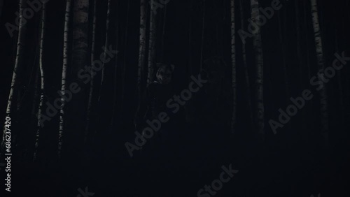 Soldier in a scary mask. warrior in a dark forest with a scary mask on his head. illuminated with red and white light. Horror

