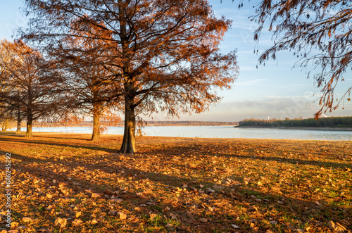 confluence of the Mississippi and Ohio Rivers seen from Fort Defiance State Park near Cairo, IL, late November scenery