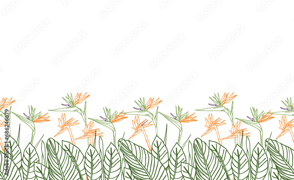 Bird of paradise flower tropical strelitzia floral seamless boarder with green and orange colors. Vector background for prints, fabric, wallpapers, wrapping paper, poster, card