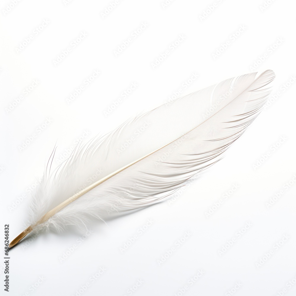 Obraz premium Delicate White Feather on White Background