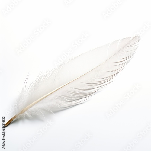 Delicate White Feather on White Background
