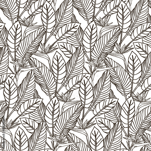 Bird of paradise flower, line art tropical strelitzia floral seamless pattern black and white color. Vector background for prints, fabric, wallpapers, wrapping paper, poster, card