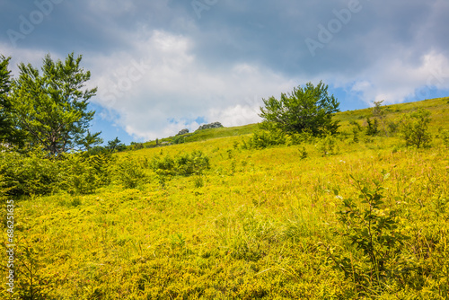 Beautiful view of the Ukrainian Carpathians to the mountains and valleys. Rain clouds in the mountains. Yellow and green grass, and the top of the mountain and the path to it photo