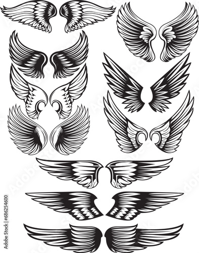 black and white wings vector