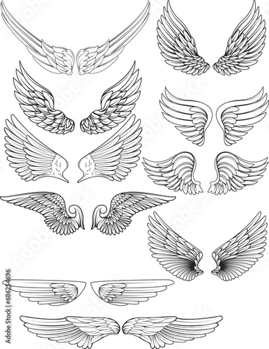 set of black and white wings