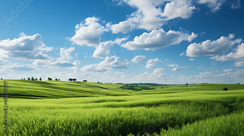 Green field with rolling hills under a blue sky dotted with white clouds viewed from a high vantage point.