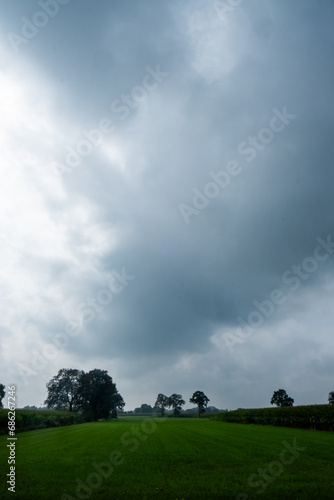 A dramatic vertical shot that presents a stark contrast between the dark, heavy skies and the vibrant green of the fields below. The central focus of the image is the line of trees standing resolute
