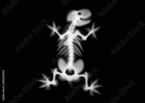 Wallpaper Mural A fake X-ray scan of an imaginary animal (monster in pocket format, mythological creature). Revealing the skeleton from tail to head.
 Torontodigital.ca