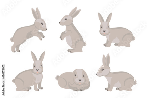 Set of cute gray rabbits, hares. Cartoon illustration, Easter design elements, vector © Tatiana