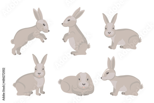 Set of cute gray rabbits, hares. Cartoon illustration, Easter design elements, vector