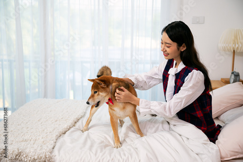 Young pretty Asian woman sitting and tease Brown Shiba inu dog on white bed with copy space