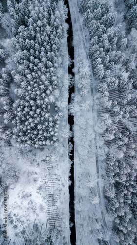 Waldstraße durch verschneite Bäume im tiefsten Winter