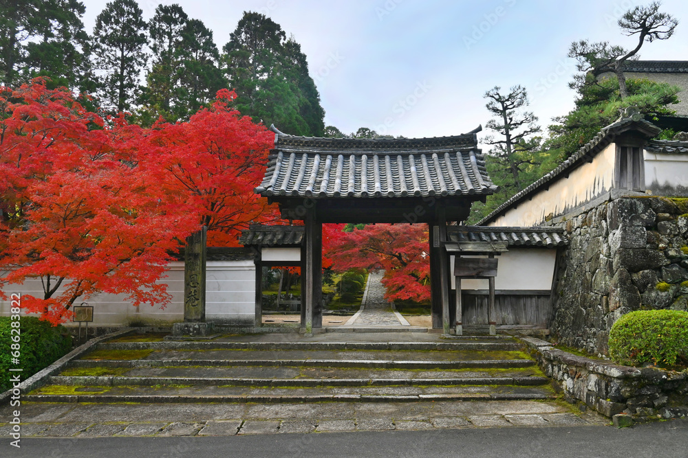 モミジの名所 京田辺市の一休寺 総門