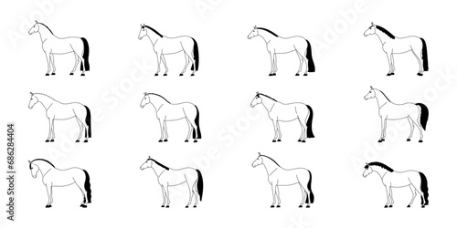 Set of black and white outline of horses of riding breeds of different conformation
