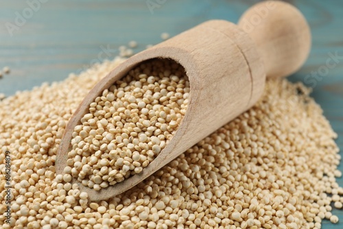 Scoop and dry quinoa seeds on light blue wooden table, closeup