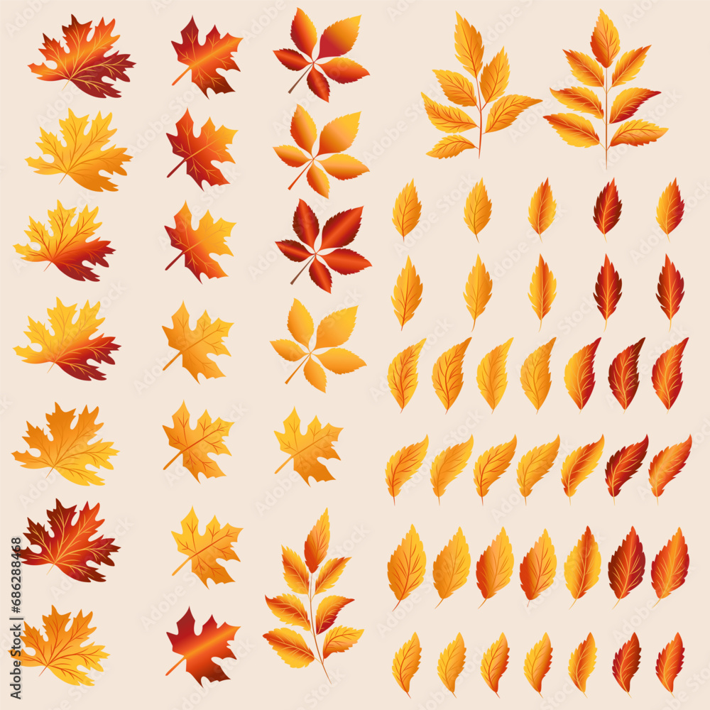 Autumn leaves big collection. Fall leaf set in colorful style. Stock vector clipart designs Autumn leaves big collection. Fall leaf set in colorful style. Stock vector clipart designs