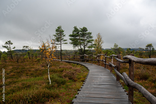 A wooden path in the Black Moor after a rain in autumn