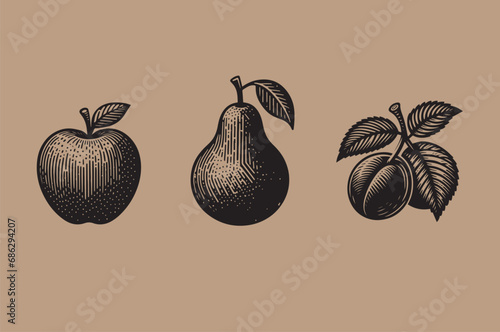 Apple, pear and plum. Engraving. black simple icons. Fruit, design, illustration. Ink drawing. Vintage.