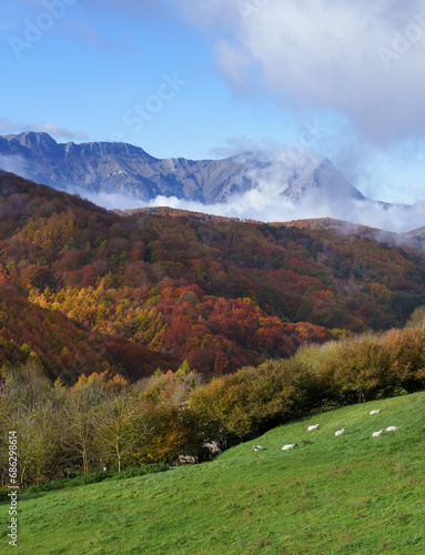 Autumn in the Aralar mountain range. Fogs in the Maioak and Araitz valley, Navarre. photo