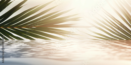 Palm leaf shadow on abstract white sand beach background  sun lights on water surface  beautiful abstract background concept banner for summer vacation at the beach