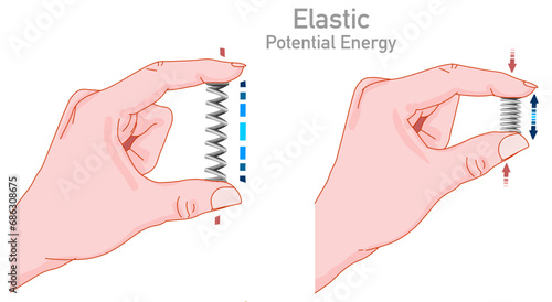 Elastic potential metal spring stretched, clamped between fingers. Elasticity mechanics, hand resting, tension, coil velocity. Experiment lesson, homework test. Physics illustration vector