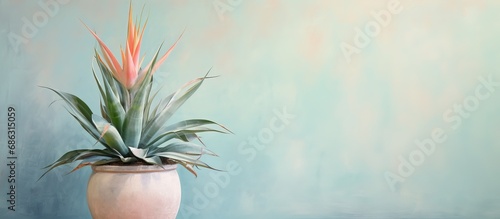 dandle aloe in ceramic vessel with pastel art