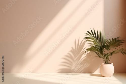 An indoor plant in a pot casts a playful shadow under soft natural light. © EricMiguel