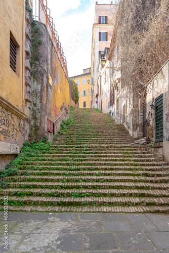 ancient staircase with weeds on a street in Via de san Onofrio in Rome. photo
