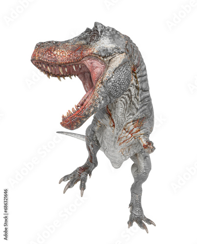 t-rex on blood is angry and looking for food in white background