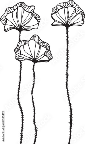 Elegant hand drawn decorative poppies